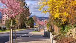 Hrádek Liberecká ul.FB